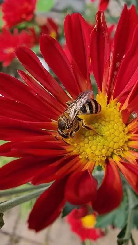 640 - 2023-03-14T161911