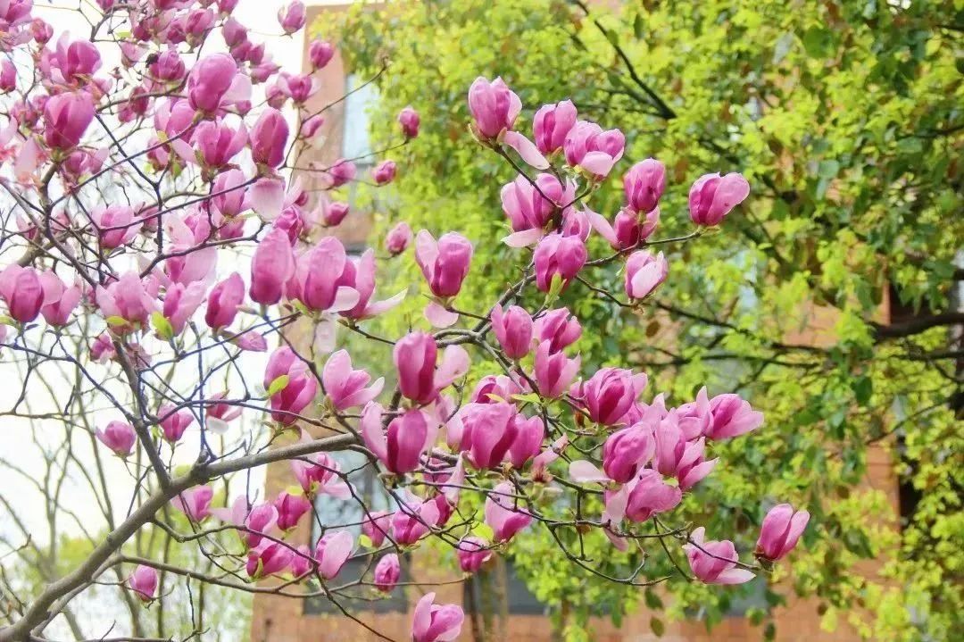 640 - 2023-05-04T154944 640 - 2023-05-04T154944