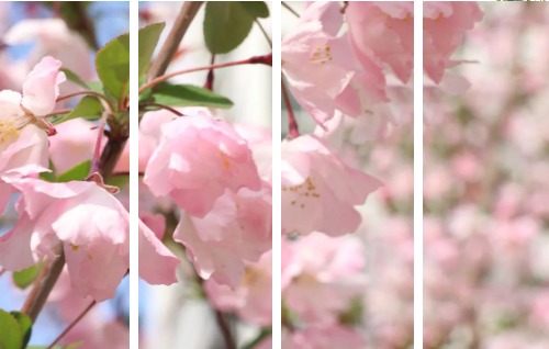 微信图片_20230509142818 微信图片_20230509142818